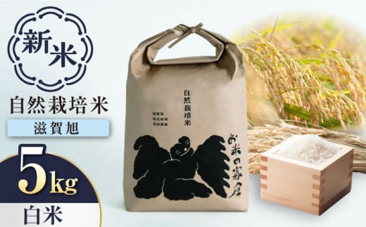 【新米：令和6年産】自然栽培 在来種  滋賀旭 5kg 白米　滋賀県長浜市/株式会社お米の家倉 [AQCP039] 米 お米 白米 新米 5kg  1446544 - 滋賀県長浜市