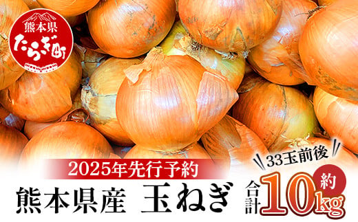 【先行予約】熊本県産 玉ねぎ 10kg (33玉前後) ≪2025年4月下旬から順次発送≫ 玉葱 野菜 数量限定 JAS たまねぎ オニオン 甘い サラダ ハンバーグ 肉じゃが カレー 065-0637 1506868 - 熊本県多良木町