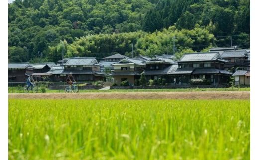 篠山城下町ホテル NIPPONIA サイクリングガイドツアーリクエストプラン ペア宿泊券（2食付）　グルメ 自然 豊か 文化 美しい 篠山城跡 街並み まちなみ 城下町 趣 非日常 1507454 - 兵庫県丹波篠山市