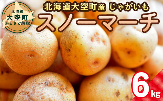 【期間限定】北海道大空町産じゃがいも（スノーマーチ）6kg 【 ふるさと納税 人気 おすすめ ランキング じゃがいも ジャガイモ いも 芋 スノーマーチ  カレー 北海道産 野菜 旬 北海道 大空町 送料無料 】 OSA047 1506205 - 北海道大空町