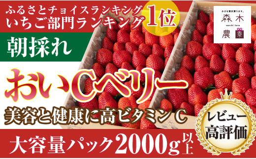 060-4 ビタミンC含有量No.1☆ 完熟 いちご『 おいCベリー』　合計2000g以上【常温発送】 1122884 - 静岡県牧之原市