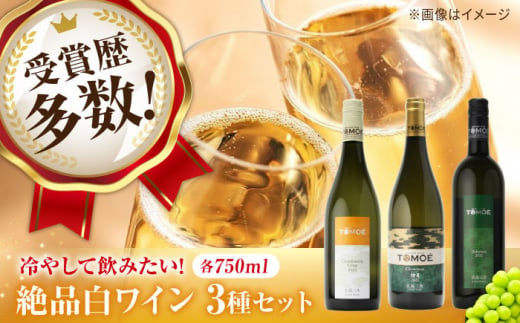 〜ソムリエが選ぶ〜冷して飲みたい絶品白ワイン3本セット ワイン 受賞 飲み比べ ワインセット ギフト 三次市/広島三次ワイナリー[APAZ032]