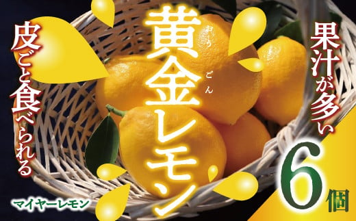 皮まで美味しい黄金レモン6個セット　※2025年1月上旬～2025年2月下旬頃に順次発送予定 1495550 - 宮城県涌谷町