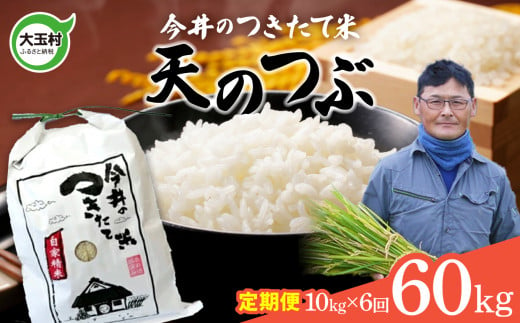 【 令和6年産 新米 】 【 今井のつきたて米 】 天のつぶ 60ｋｇ （ 毎月 １０ｋｇ × 6回 ）【OT08-026-R6】 福島県 大玉村 てんのつぶ テンノツブ 米 定期便 今井農園