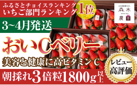 060-35　【3月～4月発送】最高の贅沢をあなたに…森木農園の作る『超大粒おいCベリー』４トレイ　合計1800ｇ以上【常温発送】 1463954 - 静岡県牧之原市