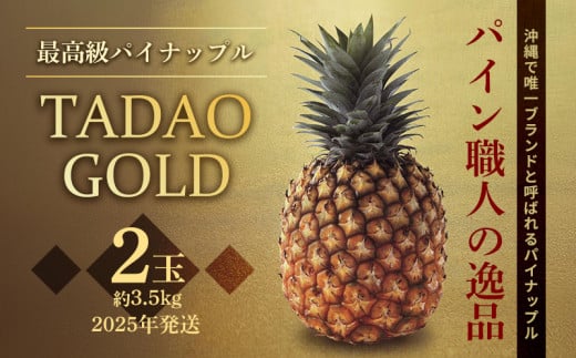 最高級パイナップル　TADAO GOLD　2玉　約3.5kg【ゴールドバレル】2025年発送 ゴールドバレル パイナップル タダオゴールド たまき ただお 逸品 パインアップル 最高級 国産パイン 贈答用 パイン 匠 高級フルーツ 南国フルーツ パイン職人 希少 玉城忠男 農家直送 沖縄 東村 1507042 - 沖縄県東村