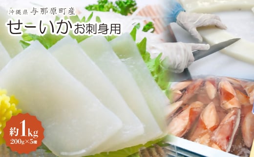 せーいか お刺身用 約1kg(200g×5柵)【1549415】 1494959 - 沖縄県与那原町