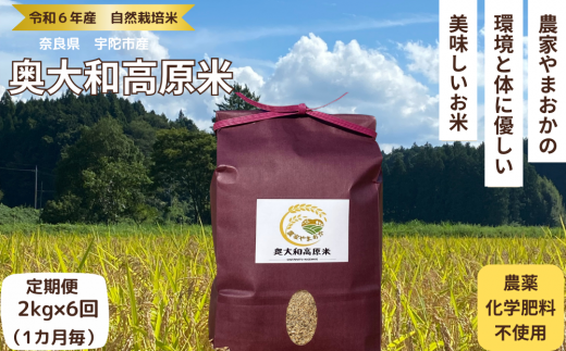 自然栽培米 ★定期便 毎月6回★新米 [令和6年産 ]玄米 2kg 9月末より順次発送/自然栽培米 新米 令和6年産 玄米 農家やまおか 無農薬 国産 お米 奈良県 宇陀市 ふるさと納税 送料無料 定期便 農薬不使用 毎月