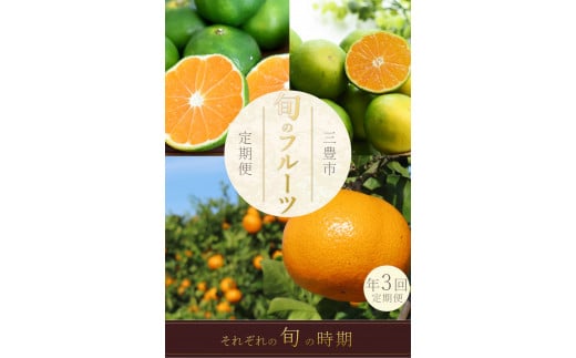 M160-0027_フルーツ定期便 3回 三豊市 極早生みかん2.5kg 早生みかん 2.5kg 晩生みかん2.5kg[配送不可地域:北海道・沖縄県・離島]