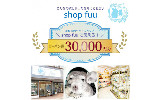 shop fuuで使えるクーポン券（30,000円）