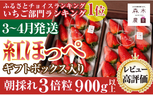 060-34【3月～4月発送】最高の贅沢をあなたに…森木農園が育てる『超大粒紅ほっぺ』2トレイ 合計900ｇ以上 【常温発送】 1463952 - 静岡県牧之原市