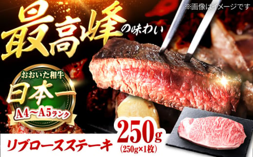 おおいた和牛 リブロースステーキ 250g (250g×1枚) 日田市 / 株式会社OTOGINO [AREF053] 1506458 - 大分県日田市