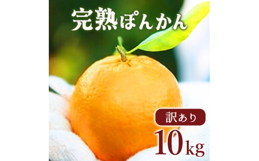 【先行予約】訳アリ完熟ぽんかん＜5kg＞×2箱セット10kg 国産 東洋町産 訳あり 甘酸っぱい 甘い 蜜柑 ミカン ジューシー 高知県 東洋町 四国 お取り寄せ フルーツ 果物 送料無料 産地直送 F143 568607 - 高知県東洋町