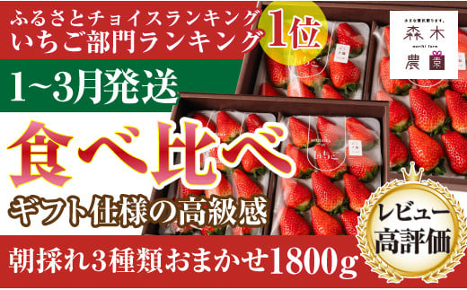 最高の贅沢を・・・紅ほっぺ(900g)or おいCベリー(900g)orきらぴ香(900g)のどれか2品種 合計1800g[常温発送]