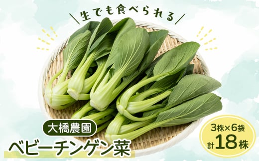 大橋農園のベビーチンゲン菜:3株入り×6袋【1364665】 739193 - 愛知県安城市