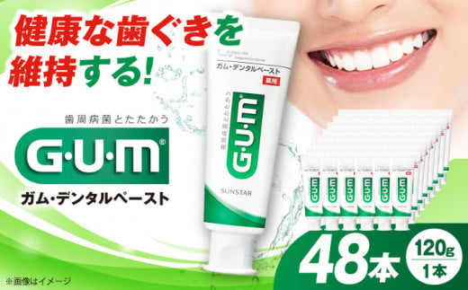 ＼レビューキャンペーン開催中！／GUM デンタルペースト(ST) 120g×48本 歯磨き 歯みがき ハミガキ 歯周病 虫歯 口臭 大阪府高槻市/サンスター[AOAD011] 1050889 - 大阪府高槻市