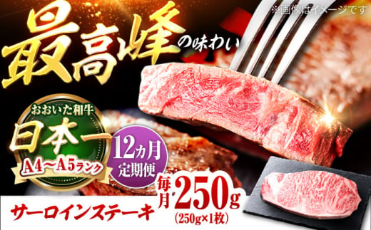 【全12回定期便】おおいた和牛 サーロインステーキ 250g (250g×1枚) 日田市 / 株式会社OTOGINO [AREF139]