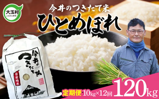 【 令和6年産 新米 】【 今井のつきたて米 】大玉村 米 定期便 120kg ひとめぼれ （毎月 10kg × 12回 ）  【OT08-018-R6】 今井農園 福島県 米作り 令和6年 お米  276960 - 福島県大玉村