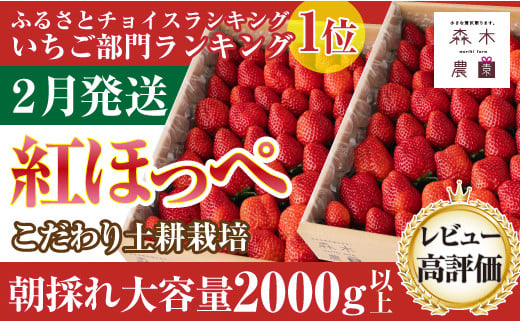 060-20 【2月発送】《土耕栽培だから濃くて甘い》紅ほっぺ合計2000ｇ以上！【常温発送】 1122874 - 静岡県牧之原市