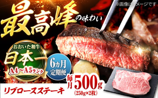 【全6回定期便】おおいた和牛 リブロースステーキ 500g(250g×2枚) 日田市 / 株式会社OTOGINO [AREF138]