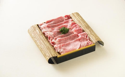 【全6回定期便】長崎和牛 すき焼き肉 約500g ／ 合計3kg 国産 肉 お肉 和牛 長崎県 長崎市 1507097 - 長崎県長崎市