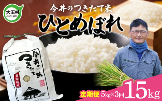 [ 令和6年産 新米 ] 米 定期便 15kg ひとめぼれ (毎月 5kg × 3回 )[ 今井のつきたて米 ]今井農園 福島県 大玉村 米作り 精米 白米 令和6年 お米 | OT08-013-R6