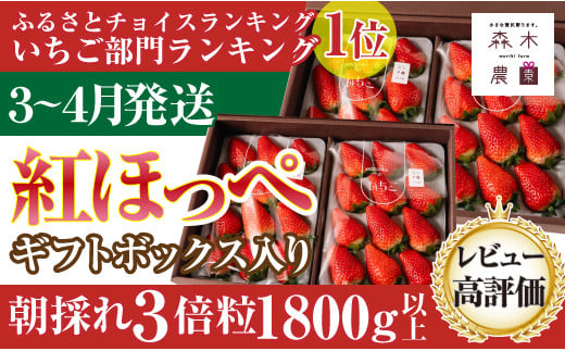 060-36　【3月～4月発送】最高の贅沢をあなたに…森木農園が育てる『大粒紅ほっぺ』４トレイ　合計1800ｇ以上【常温発送】 1463950 - 静岡県牧之原市