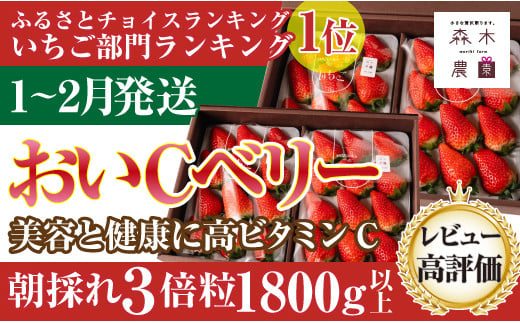 060-13　【1月～2月発送】最高の贅沢をあなたに…森木農園の作る『超大粒おいCベリー』４トレイ　合計1800ｇ以上【常温発送】 1122880 - 静岡県牧之原市