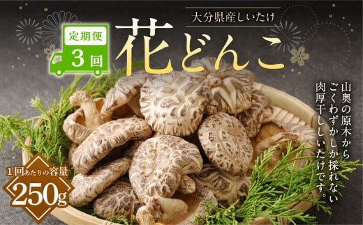 【3ヶ月定期便】大分産しいたけ花どんこ 250g 合計750g 乾燥椎茸 乾燥 しいたけ 干し椎茸 乾し椎茸 乾燥野菜 原木どんこ 花どんこ 大分県 九重町 1506634 - 大分県九重町