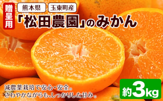 『松田農園』のみかん たっぷり 約3kg(S-2Lサイズ) フルーツ 秋 旬 熊本県 玉名郡 玉東町 松田農園 手間暇かけたこだわりのミカン【日付指定不可】《11月上旬-12月下旬頃出荷》 1510203 - 熊本県玉東町