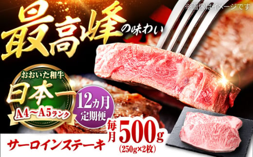 【全12回定期便】おおいた和牛 サーロインステーキ 500g (250g×2枚) 日田市 / 株式会社OTOGINO [AREF140]