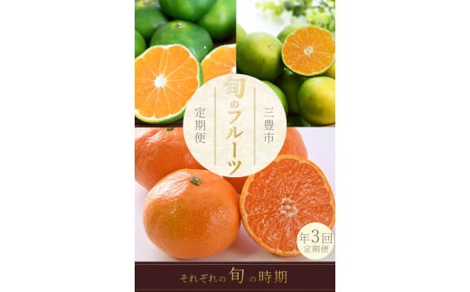 M160-0026_フルーツ定期便 3回 三豊市 極早生みかん2.5kg 早生みかん 2.5kg 石地みかん2.5kg[配送不可地域:北海道・沖縄県・離島]