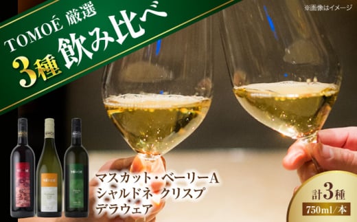 【お歳暮対象】～TOMOE 厳選3種～おすすめ飲み比べ3種セット ワイン 受賞 飲み比べ ワインセット ギフト 三次市/広島三次ワイナリー[APAZ027-999] 1535578 - 広島県三次市