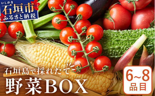 石垣島産 野菜BOX　1箱【６~８種類】野菜パワーをあなたに！！CK-1