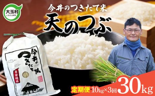 【 令和6年産 新米 】 【 今井のつきたて米 】 天のつぶ ３０ｋｇ （ 毎月 １０ｋｇ × 3回 ）【OT08-025-R6】 福島県 大玉村 てんのつぶ テンノツブ 米 定期便 今井農園 276983 - 福島県大玉村