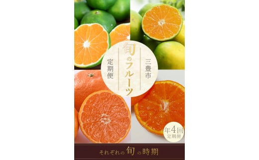 M160-0028_フルーツ定期便 4回 三豊市 極早生みかん2.5kg 早生みかん 2.5kg 石地みかん2.5kg 晩生みかん2.5kg[配送不可地域:北海道・沖縄県・離島]
