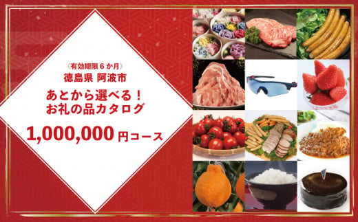 ゆっくりえらべる カタログ 100万円 コース あとから選べる 鮮魚 肉 米 酒 定期便 スイーツ フルーツ 選べる ギフト セレクト 【 徳島県 阿波市 】 1519854 - 徳島県阿波市