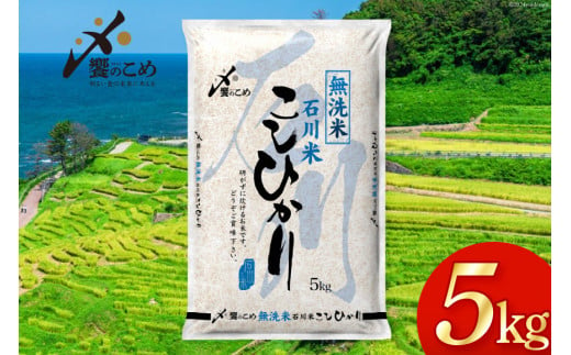 【期間限定発送】 米 令和6年 無洗米 こしひかり 精米 5kg [中橋商事 石川県 宝達志水町 38601014] お米 白米 ごはん 美味しい コシヒカリ おこめ こめ 5キロ 石川 能登 むせんまい 868741 - 石川県宝達志水町