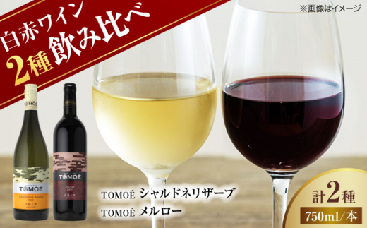 【お歳暮対象】TOMOEワイン2本セット D ワイン 受賞 飲み比べ ワインセット ギフト 三次市/広島三次ワイナリー[APAZ026] 1535573 - 広島県三次市