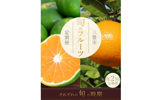 M160-0025_フルーツ定期便 2回 三豊市 極早生みかん2.5kg 晩生みかん2.5kg[配送不可地域:北海道・沖縄県・離島]