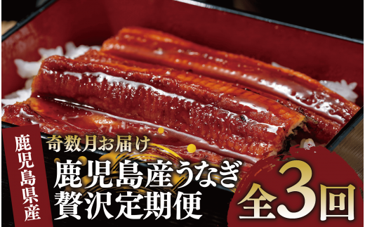 【全３回定期便・奇数月お届け】鹿児島産うなぎ贅沢定期便(奈良/Z100-1712) 鰻 蒲焼 国産 丑の日 うな重 無頭 ギフト ふっくら 小分け レンジ 簡単 頒布会 小分け うな丼 ウナギ 冷凍 かばやき かば焼き うなぎの蒲焼