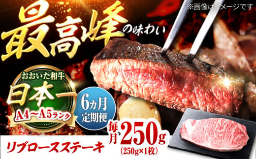 【全6回定期便】おおいた和牛　リブロースステーキ 250g(250g×1枚) 日田市 / 株式会社OTOGINO [AREF137]