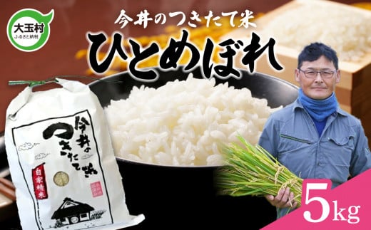 【 令和6年産 新米 】 米 5kg ひとめぼれ 【 今井のつきたて米 】 福島県 大玉村 米作り 福島 令和6年 お米 ご飯 精米 白米 ごはん ヒトメボレ 今井農園 ｜ OT08-011-R6