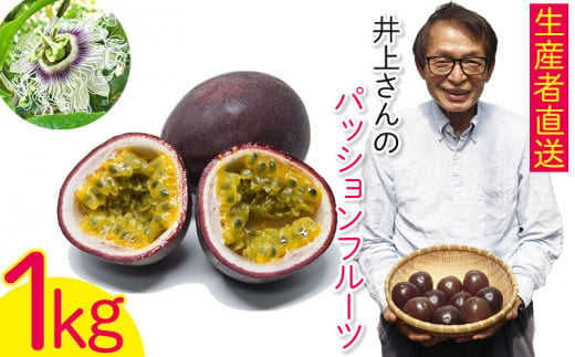 【2025年発送】生産者直送！井上さんのパッションフルーツ1kg お取り寄せ フルーツ 南国 国産 デザート 家庭用 産地直送 農家直送 果物 くだもの ご当地 期間限定 数量限定 リリコイ 先行予約 先行受付 おきなわ 沖縄県産 沖縄 北中城村 283511 - 沖縄県北中城村