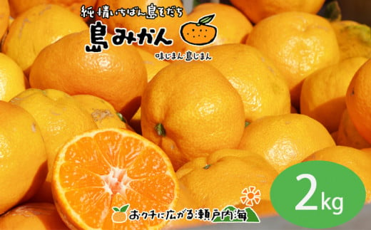 【11月下旬頃～1月中旬頃に発送予定】温州みかん 2kg  愛媛 中島産 希望の島  家庭用 みかん 柑橘  1544931 - 愛媛県松山市