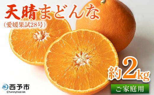 紅まどんなと同品種！＜天晴まどんな（愛媛果試28号）ご家庭用 約2kg＞ マドンナ 訳あり 果物 くだもの フルーツ みかん ミカン 柑橘 天晴農園 あっぱれのうえん 特産品 愛媛県 西予市【常温】 1507506 - 愛媛県西予市