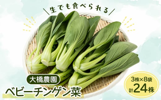 大橋農園のベビーチンゲン菜:3株入り×8袋【1366726】 739192 - 愛知県安城市