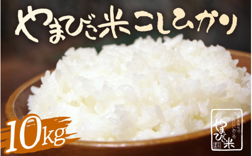 米 令和6年産 コシヒカリ 10kg 新庄やまびこ米（白米） [m23-b003] 1518843 - 福井県美浜町