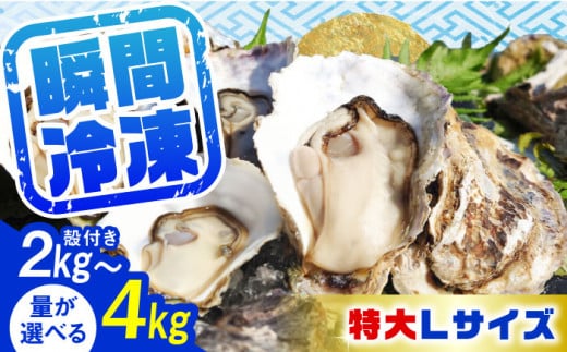 牡蠣 冷凍 殻付き カキ かき 特選 牡蠣三昧！【瞬間冷凍】広島牡蠣　殻付き３kg カキ かき 広島 料理 簡単 魚介類 海鮮 ギフト 広島県産 江田島市/株式会社門林水産 [XAO030] 1420115 - 広島県江田島市