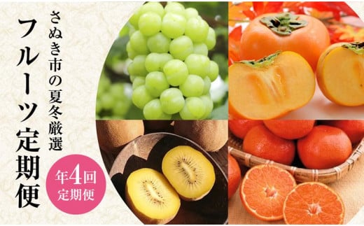 【定期便全4回】さぬき市 フルーツ定期便(瀬戸ジャイアンツ さぬきゴールド 富有柿 小原紅早生みかん)【旬 人気 果物 くだもの マスカット キウイ 柿 みかん 香川県 さぬき市】 1309356 - 香川県さぬき市
